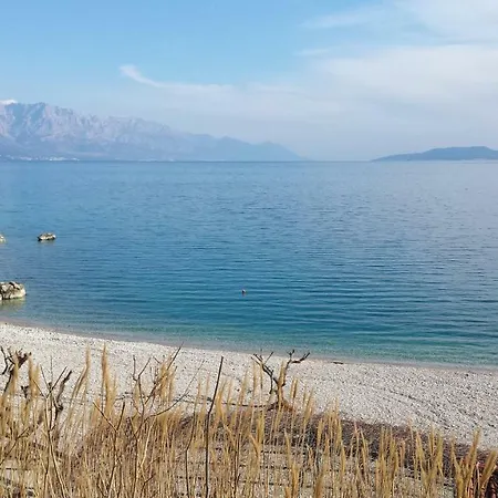 Palfeys لوكفا روجوزنيكا