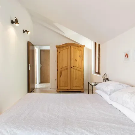 Palfeys لوكفا روجوزنيكا