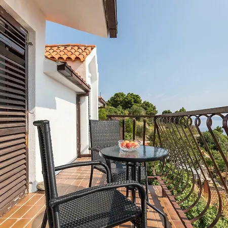 Palfeys * لوكفا روجوزنيكا